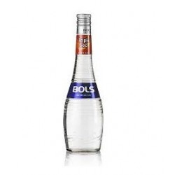 Licor Bols Triple Seco Curacao 38º