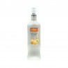 Licor Rives Triple Seco Naranja 38º