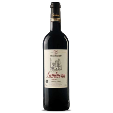 Vino Lambuena Cosecha 2007-14.5º