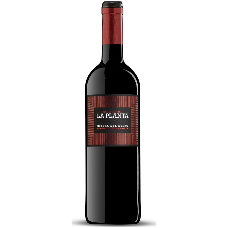Vino La Planta 14º Vino La Planta 14º