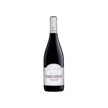 Vino Barbadillo joven 13.5º