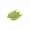 Laurel hoja 90g