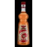 Jarabe Mango Sanz Sin Alcohol 0º