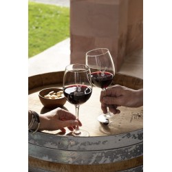 Estuche Coto de Imaz reserva Rioja