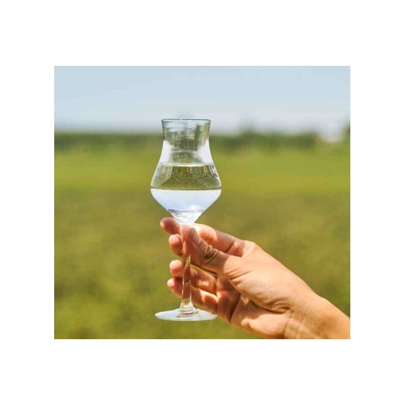 Pisco Control Pisco Control 70cl