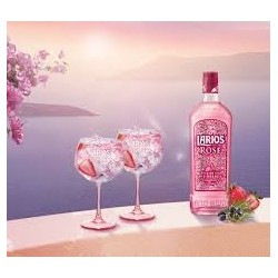 Larios Rose 70cl