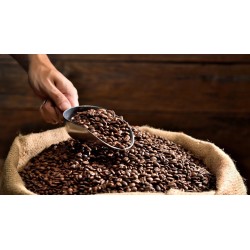 LICOR DE CAFE COLAU FERRY 3 LITROS