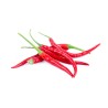 Lata Pringels Hot Spicy 70g