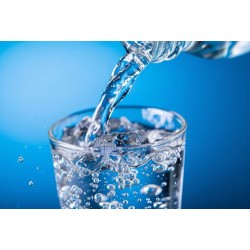 AGUA MINERAL NATURAL MONDARIZ 1L