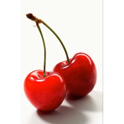 Marie Brizard Cherry