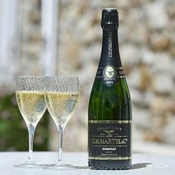 Champagne Martel Prestige brut 75cl