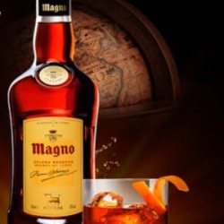 Magno Brandy 37º 1L