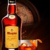 Magno Brandy 37º 70cl