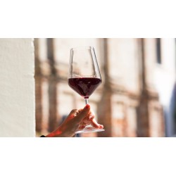 Seleccion Berceo Rioja 2011