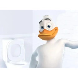 Pato wc 1L