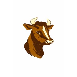 Caldo Sabor Carne (Sin Gluten) 1Kg