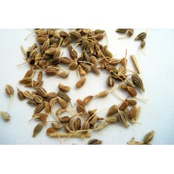 Anís Grano 670g