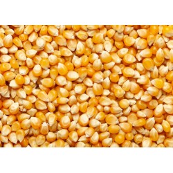 Maiz en Grano 3 kg