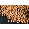 Lentejas 3 Kg