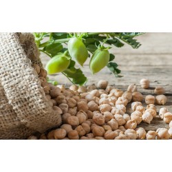 Garbanzos 3 Kg