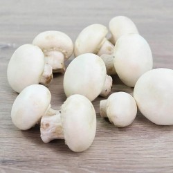 Champiñón Laminado 3 Kg