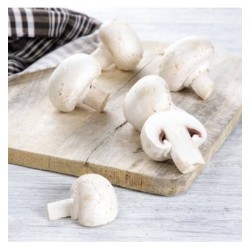 Champiñón Laminado 3 Kg