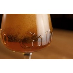 Estrella Galicia Tercio 33CL