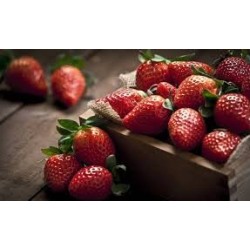 Batido de Fresa 20cl