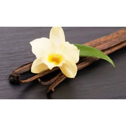 Batidos Vainilla 20cl