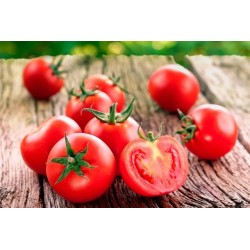 Tomate Don Simon 20cl