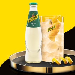 Ginger Ale iglu 20cl