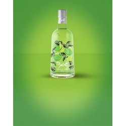 Ginebra Boe Apple & Lime (manzana-lima) 70cl 41.5%