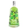 Ginebra Boe Apple & Lime (manzana-lima) 70cl 41.5%