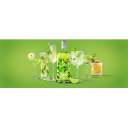 Ginebra Boe Apple & Lime (manzana-lima) 70cl 41.5%