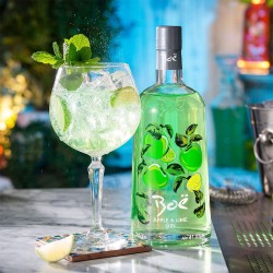 Ginebra Boe Apple & Lime (manzana-lima) 70cl 41.5%