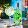 Ginebra Boe Apple & Lime (manzana-lima) 70cl 41.5%