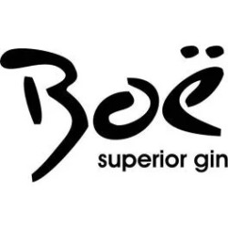 Ginebra Boe Apple & Lime (manzana-lima) 70cl 41.5%