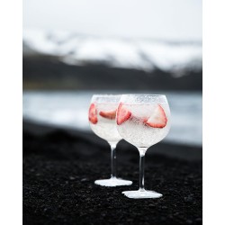 Ginebra Martin Miller´s 0,70 cl