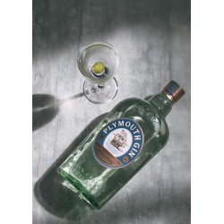 Ginebra Plymouth Std 41,2º