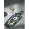 Ginebra Plymouth Std 41,2º
