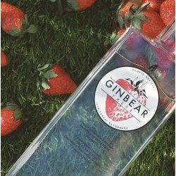 Ginebra Ginbear Fresa 40º