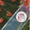 Ginebra Ginbear Fresa 40º