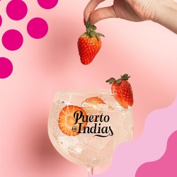 Puerto de indias Fresa 37,5º