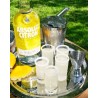 Absolut Citron 40º