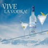 Grey Goose 40º