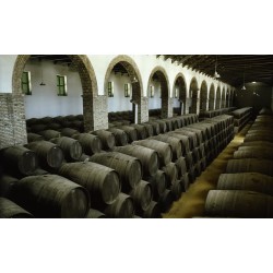 Monte Cristo 7 Años 38º