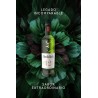 Glenfiddich 12 Años