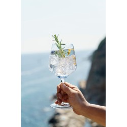 Ginebra Gin mare 42,7º