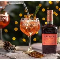 Hayman's Sloe 70cl