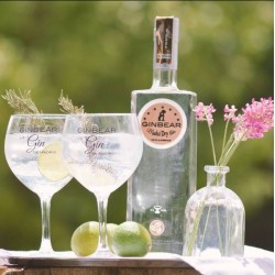 Ginebra Ginbear 40º